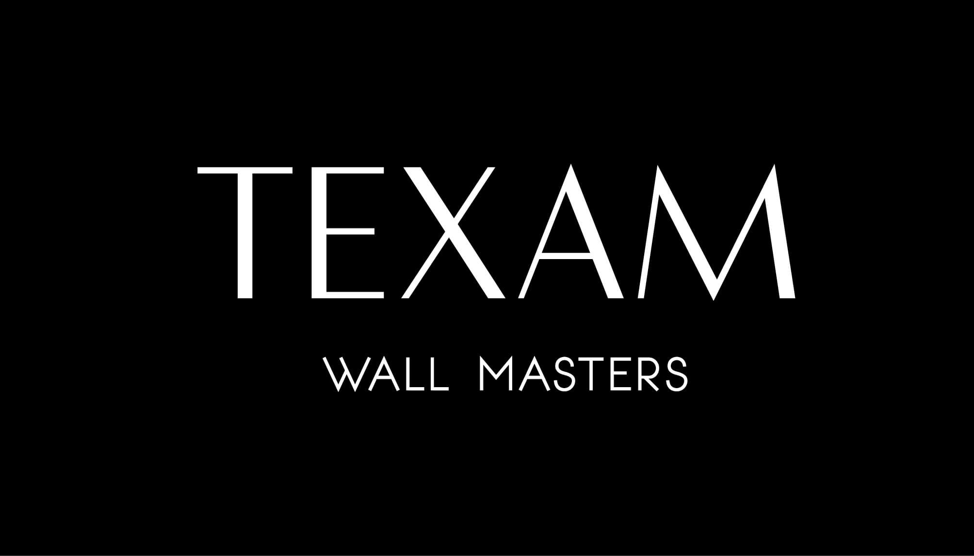 Logo Texam